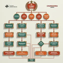 Hierarchical system of local, state, and regional Chungueira competitions leading to the national finals.